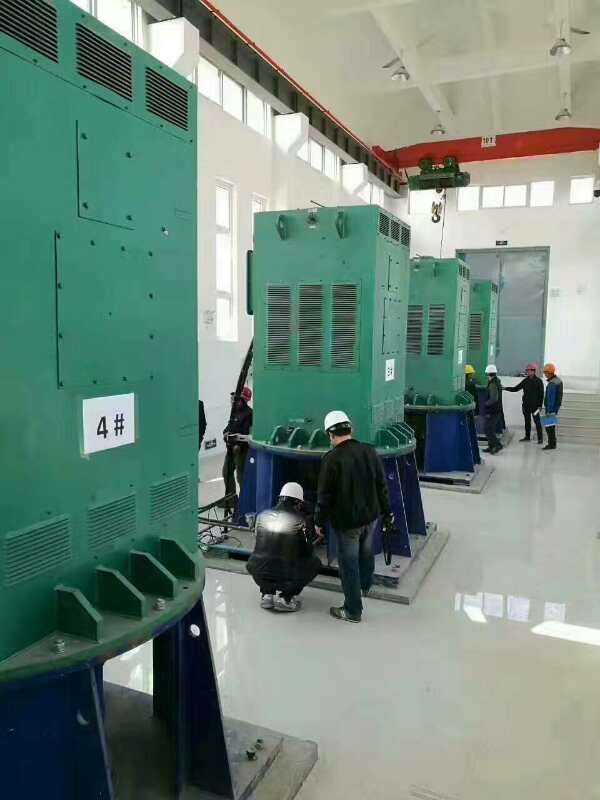 YKK5005-2GJ某污水处理厂使用我厂的立式高压电机安装现场