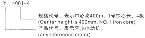 西安泰富西玛Y系列(H355-1000)高压YKK5005-2GJ三相异步电机型号说明