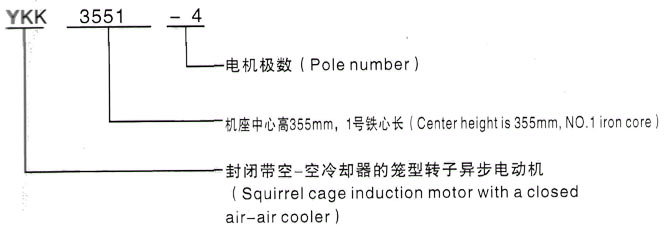 YKK系列(H355-1000)高压YKK5005-2GJ三相异步电机西安泰富西玛电机型号说明